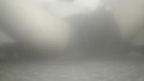 Snapshot of tiger005588 chatting on November 21, 9:08 am tiger005588 online show from November 21, 9:08 am