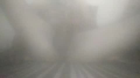 Snapshot of tiger005588 chatting on December 13, 7:53 pm tiger005588 online show from December 13, 7:53 pm