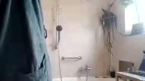 tigertrance online show from November 11, 10:26 am