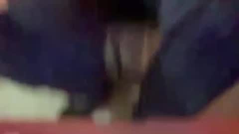 Timplaw online show from January 3, 3:33 pm