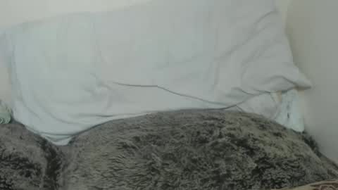 Tina online show from February 9, 9:49 pm