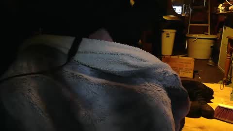 Snapshot of tinkertrain420 chatting on December 2, 9:56 am tinkertrain420 online show from December 2, 9:56 am