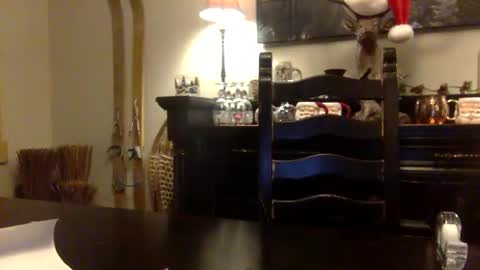 tinyandtatted420 online show from December 18, 1:22 am