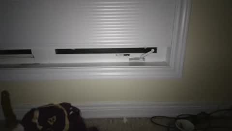 tj526316275 online show from April 23, 6:47 am