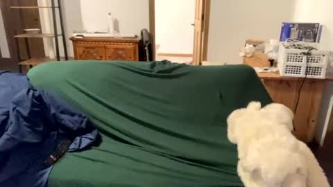 tjfemboi5641 online show from October 20, 11:54 am