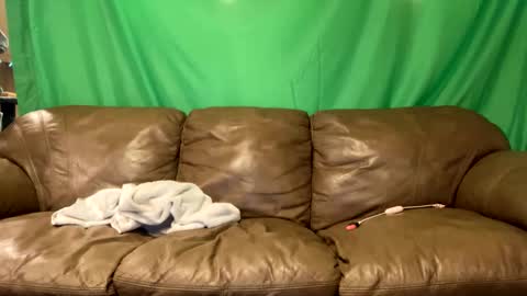 tjfemboi5641 online show from October 23, 10:36 am