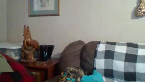 Vols online show from October 29, 9:49 pm