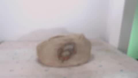 David online show from February 7, 9:16 am