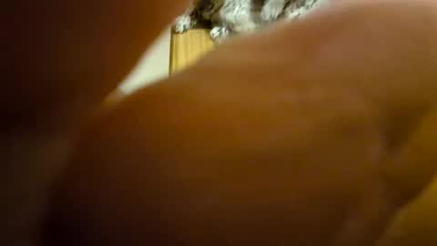 Snapshot of toadinhole chatting on December 8, 11:35 am Toady online show from December 8, 11:35 am