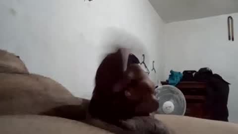 tobe557337 online show from December 17, 7:29 am