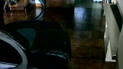 Snapshot of tobikoyuzu chatting on December 28, 4:52 pm Tobiko online show from December 28, 4:52 pm