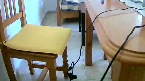 Snapshot of tobikoyuzu chatting on December 31, 12:25 pm Tobiko online show from December 31, 12:25 pm