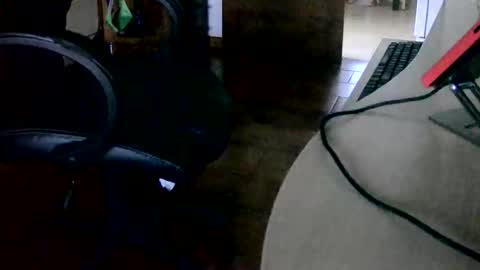 Snapshot of tobikoyuzu chatting on November 15, 3:30 pm Tobiko online show from November 15, 3:30 pm