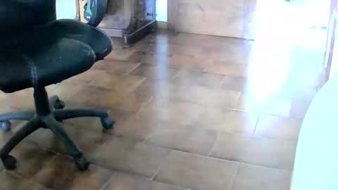 Snapshot of tobikoyuzu chatting on December 2, 1:17 pm Tobiko online show from December 2, 1:17 pm