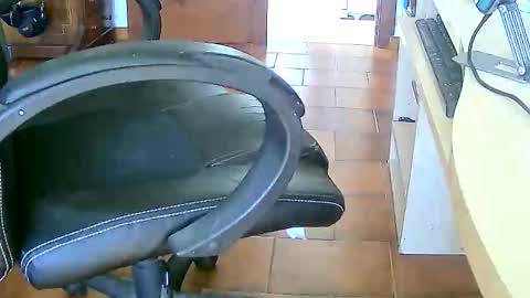 Tobiko online show from February 17, 3:29 pm