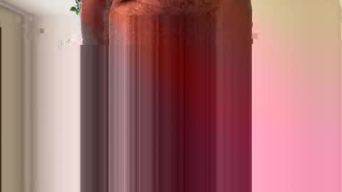 toddmacg online show from November 23, 5:35 pm