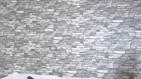 Tokyo online show from February 2, 6:06 pm