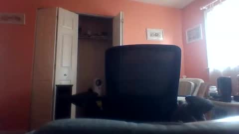 tomcat4848 online show from April 22, 7:48 pm