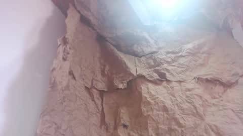   Thomas    online show from November 10, 1:54 pm