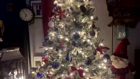 tommybones4l93 online show from December 18, 2:06 am