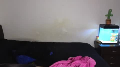 Sophia  Tony online show from July 7, 12:02 am