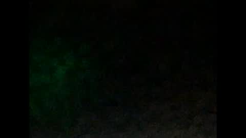 tonyd online show from January 4, 10:05 am