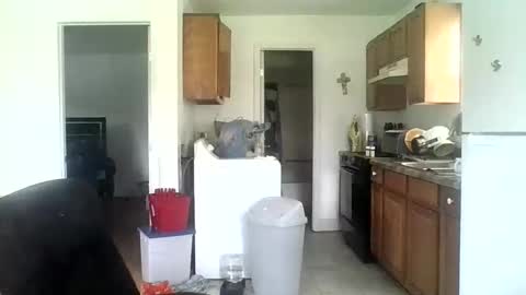 Snapshot of tonyguidofloyd chatting on June 2, 4:31 pm Tony Floyd online show from June 2, 4:31 pm