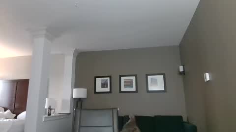 Snapshot of toomuchsmoke chatting on February 6, 12:22 am toomuchsmoke online show from February 6, 12:22 am