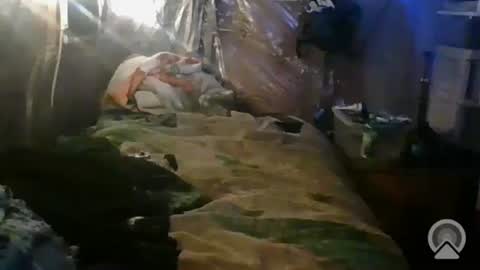 tootall1991420 online show from October 26, 1:06 pm