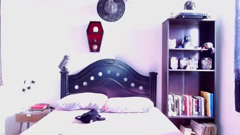 toothyy online show from January 19, 2:59 pm