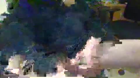 Topcat127 online show from March 5, 6:23 am