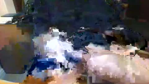 Topcat127 online show from February 5, 6:40 am