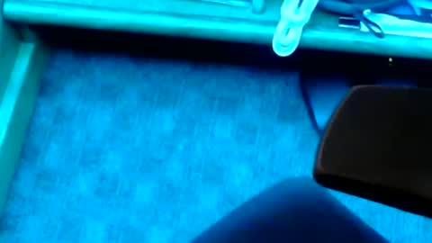 tornne online show from February 2, 1:19 pm