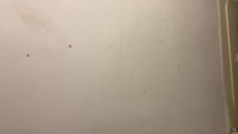 toronto5656 online show from March 3, 3:31 pm