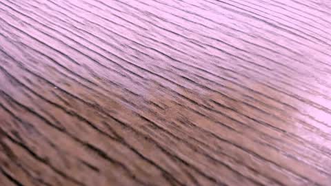 Snapshot of toshi_dakxxx chatting on April 2, 1:31 pm toshi_dakxxx online show from April 2, 1:31 pm