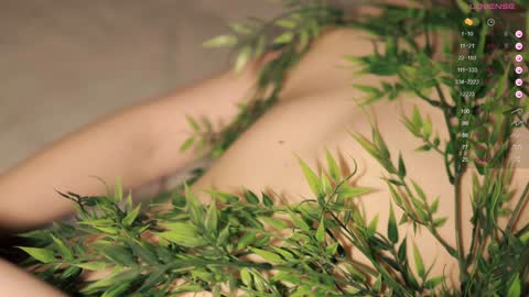 Toshi online show from December 9, 1:02 pm