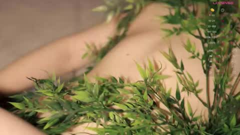 Toshi online show from October 19, 1:01 pm