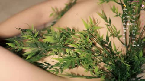 Toshi online show from December 14, 1:05 pm