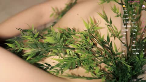 Toshi online show from March 23, 1:04 pm