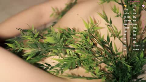 Toshi online show from March 30, 1:01 pm