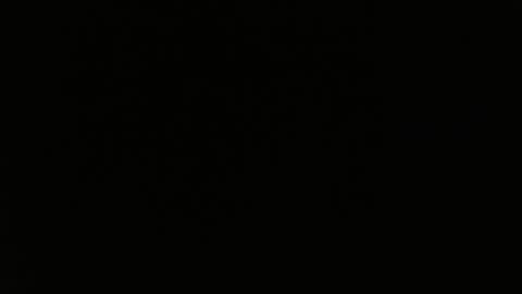 totoro_239 online show from March 24, 8:36 pm