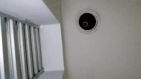 TradicionCanera23cm online show from March 1, 11:01 am