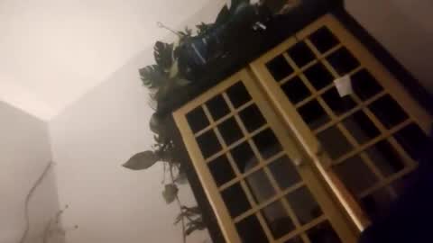 trans167456 online show from December 19, 9:49 am