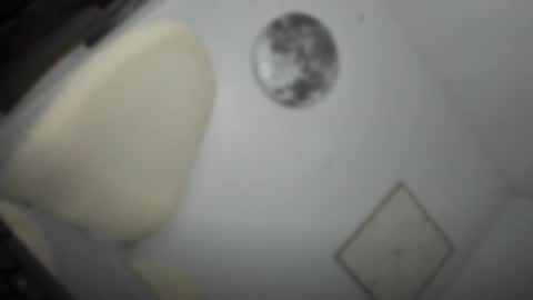 ALMIGHTY GODDESS VALENTINA online show from March 26, 5:29 pm