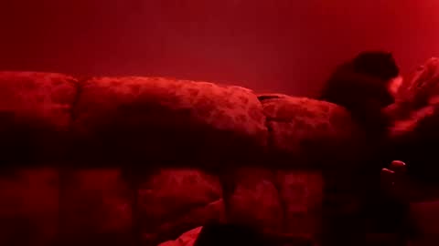 Snapshot of tretrix5588 chatting on January 3, 10:09 am tretrix5588 online show from January 3, 10:09 am