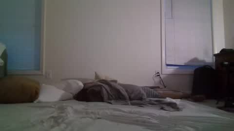 Snapshot of trickquestion chatting on February 8, 11:44 am trickquestion online show from February 8, 11:44 am