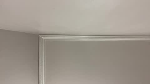 WapBopper online show from December 24, 9:17 am