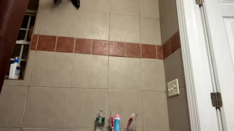 WapBopper online show from February 11, 12:06 am