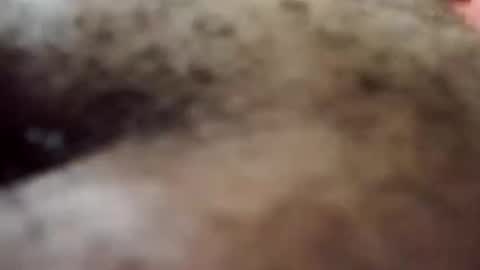 Snapshot of trinislim1868 chatting on October 8, 9:34 pm Antique-Shirt2516 online show from October 8, 9:34 pm