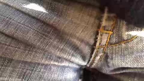 trobelle online show from November 18, 11:36 am